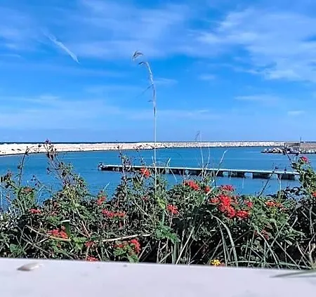 Midie Savelletri Appartement Fasano